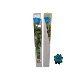 KIARA STEM DISPLAY AQUAMARINE