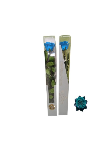 KIARA STEM DISPLAY AQUAMARINE