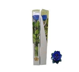 KIARA STEM DISPLAY OCEAN BLUE