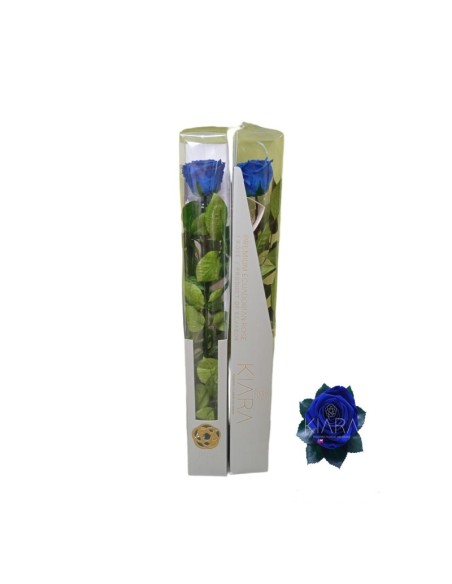 KIARA STEM DISPLAY OCEAN BLUE