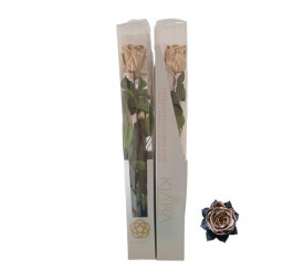 KIARA STEM DISPLAY ORO
