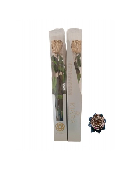 KIARA STEM DISPLAY ORO