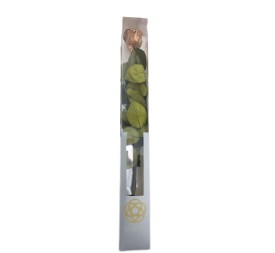 KIARA STEM DISPLAY BRONCE METAL