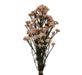 FLOR DE ARROZ  PRESS 60 CM ROSA CLARO (45)