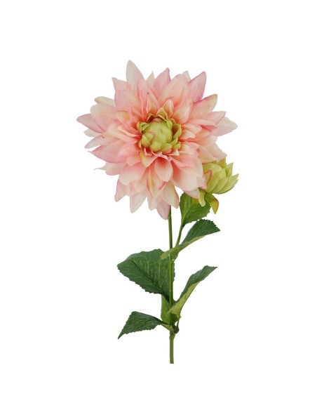 R.DALIA X2 ROSA 66cm (16cm) (G5