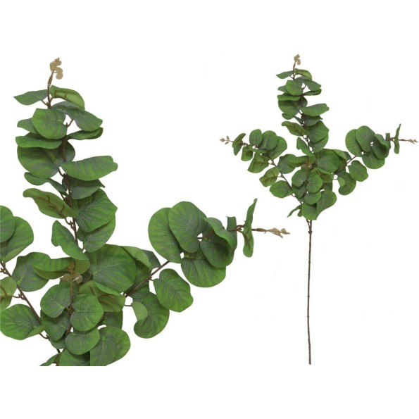 VARA EUCALYPTUS 58 LVS 81 CM (VERDE CL)