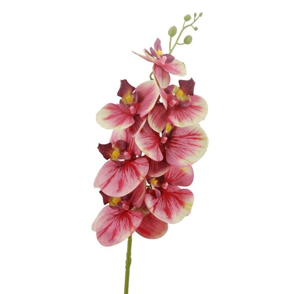 ORQUIDEA X7 ROJO 86cm(32) (E473-4)