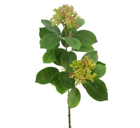 ESQUIMIA JAPON VERDE 70cm(28) ( E476-1)