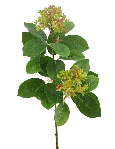 ESQUIMIA JAPON VERDE 70cm(28) ( E476-1)