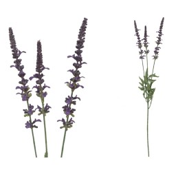 VARA LAVANDA X 3-66 CM (LAVANDA)