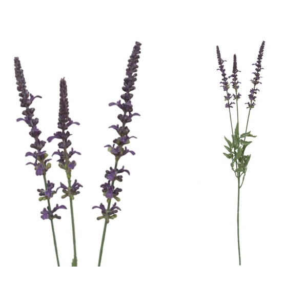 VARA LAVANDA X 3-66 CM (LAVANDA)