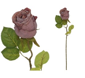 VARA CAPULLO DRIED -50 CM (VIOLETA)