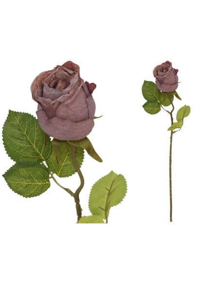 VARA CAPULLO DRIED -50 CM (VIOLETA)