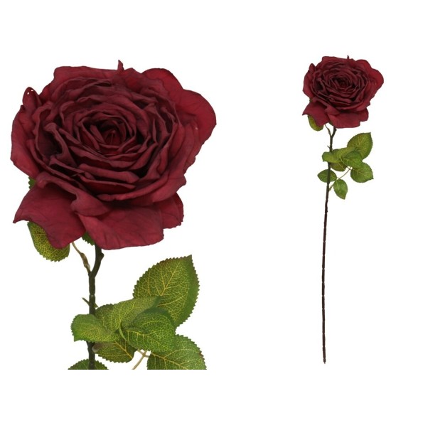 VARA ROSA DRIED -66 CM (ROJO)