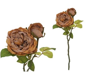 VARA ROSA DRIED X 2 -47 CM (OCRE)