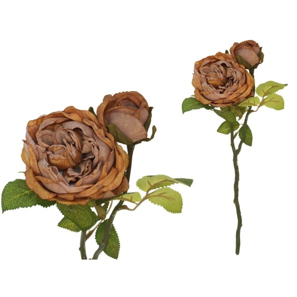 VARA ROSA DRIED X 2 -47 CM (OCRE)