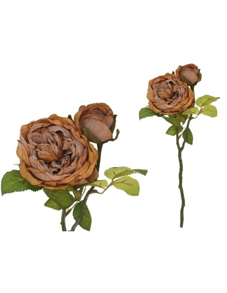 VARA ROSA DRIED X 2 -47 CM (OCRE)