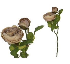 VARA ROSA DRIED X 2 -47 CM (CAF