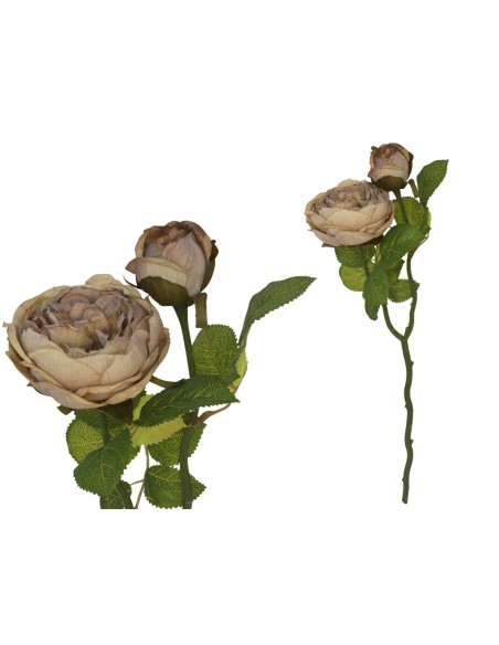 VARA ROSA DRIED X 2 -47 CM (CAF