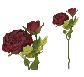 VARA ROSA DRIED X 2 -47 CM (ROJ