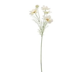 COSMOS (4817-010)