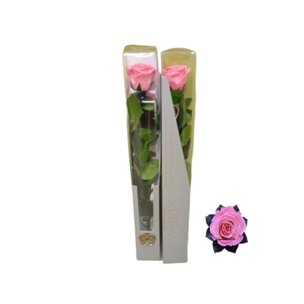 KIARA STEM DISPLAY BABY PINK