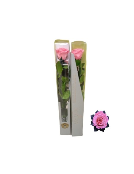 KIARA STEM DISPLAY BABY PINK