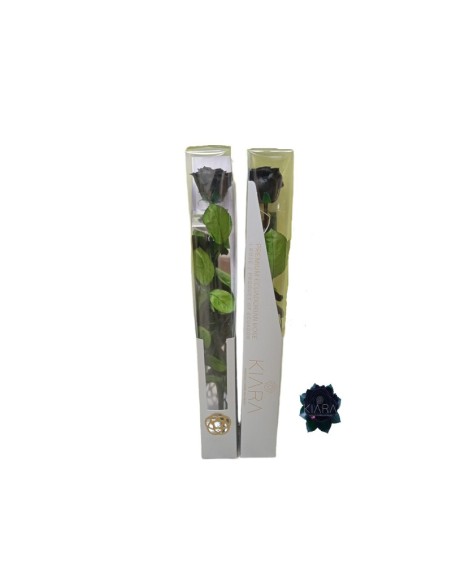 KIARA STEM DISPLAY BLACK BEAUTY