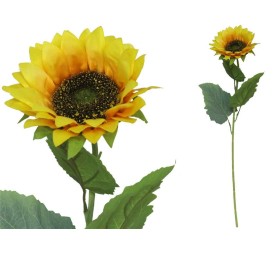 VARA GIRASOL X 1 D 13 CM X 60 CM