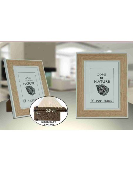 PORTAFOTO PLASTICO PS-521 20X30CM(9/18)