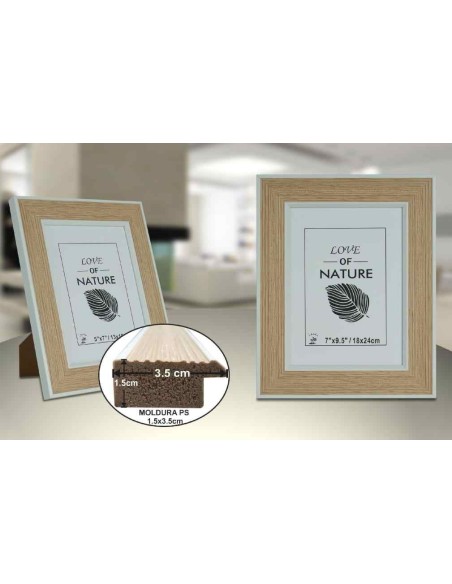 PORTAFOTO PLASTICO PS-521 18X24CM(12/24)