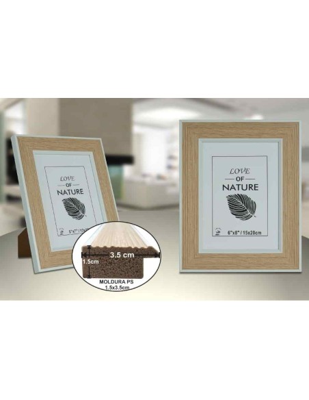 PORTAFOTO PLASTICO PS-521 15X20CM(12/24)