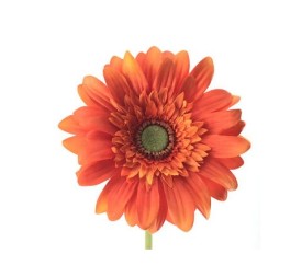 GERBERA (2292-15)
