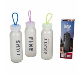 BOTELLA CRISTAL POWER 300 ML 3 SURT