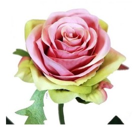 ROSA X1 LILA/VERDE 57CM(8CM) (Q358/10)