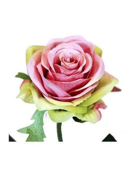 ROSA X1 LILA/VERDE 57CM(8CM) (Q358/10)