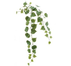 COLGANTE CISSUS (4065-09)