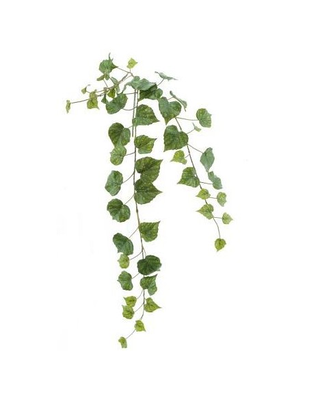 COLGANTE CISSUS (4065-09)