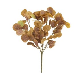 RAMO EUCALIPTUS X 7-46 CM (MARRON)