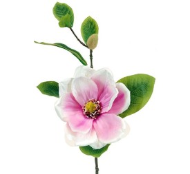 MAGNOLIA X1 CREMA/LILA 63CM (15CM) (F-661/3)