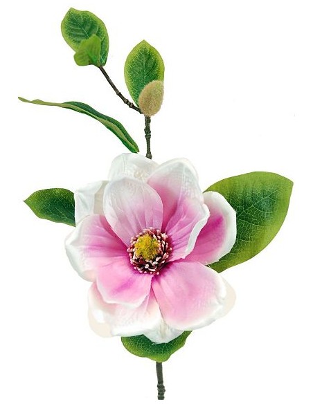 MAGNOLIA X1 CREMA/LILA 63CM (15CM) (F-661/3)