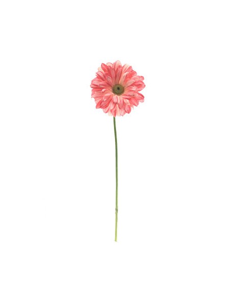 GERBERA CEREZA (2293-27)