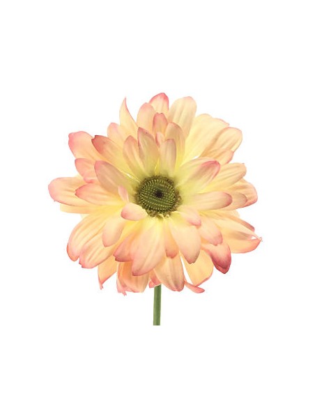 GERBERA SALMON (2293-14)