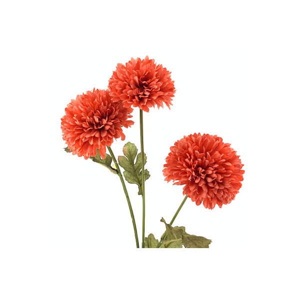 POM POM X 3 CORAL (4507-24)