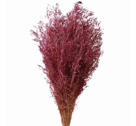 MUNNI 60 cms. MORADO (80)