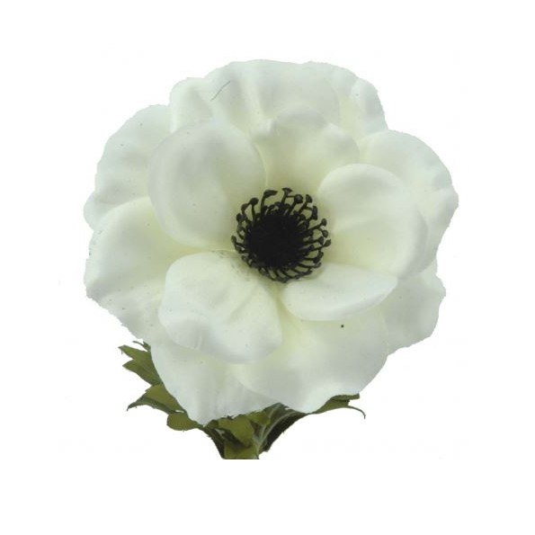 AMAPOLA 54 CMS (4602-01)