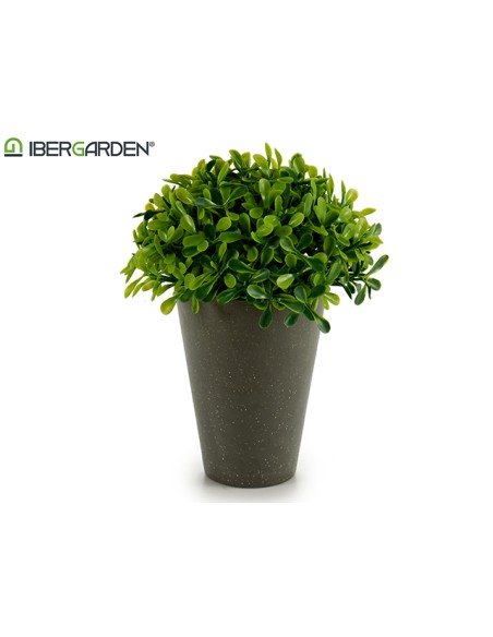 PLANTA REDONDA PLAST MACETERO CEMENTO 13 x 13 x 16 cm.