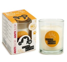 VELA VASO CRISTAL 30H ANTIOLOR GATO