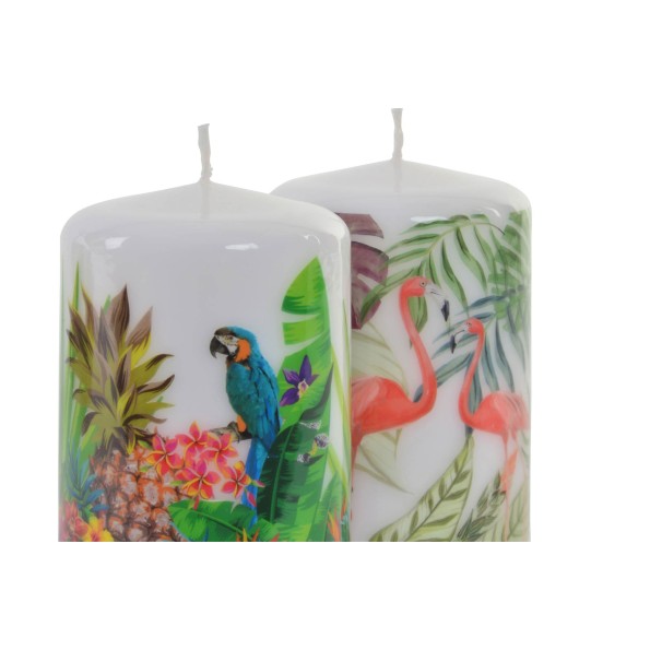 VELA CERA 7X10 313 GR TROPICAL 2 SURTIDO