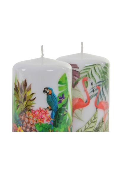 VELA CERA 7X10 313 GR TROPICAL 2 SURTIDO